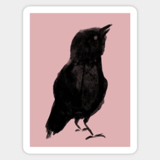 Raven Sticker